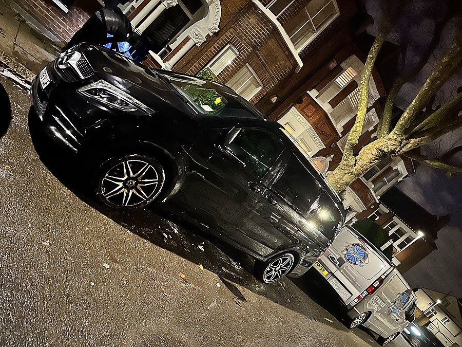 Dog Owners Valet in SW11