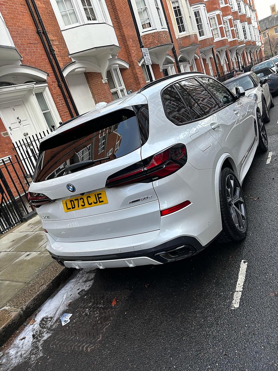 Bird Droppings Removal in SW3